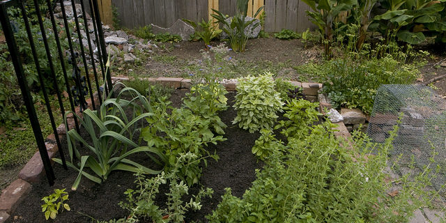 Small Backyard Garden