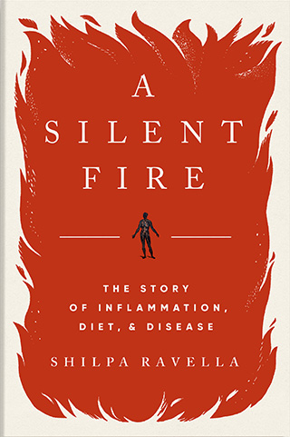 Shilpa Book Cover A Silent Fire