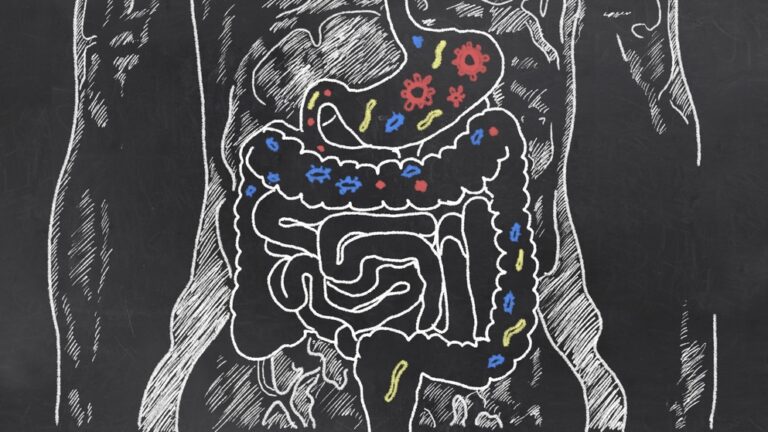 gut bacteria